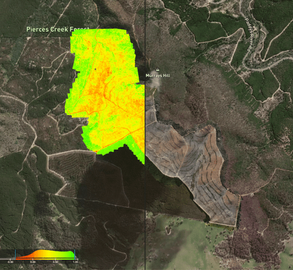 Drone NDVI Pine Forest Survey – Kowen Forest ACT | High Exposure